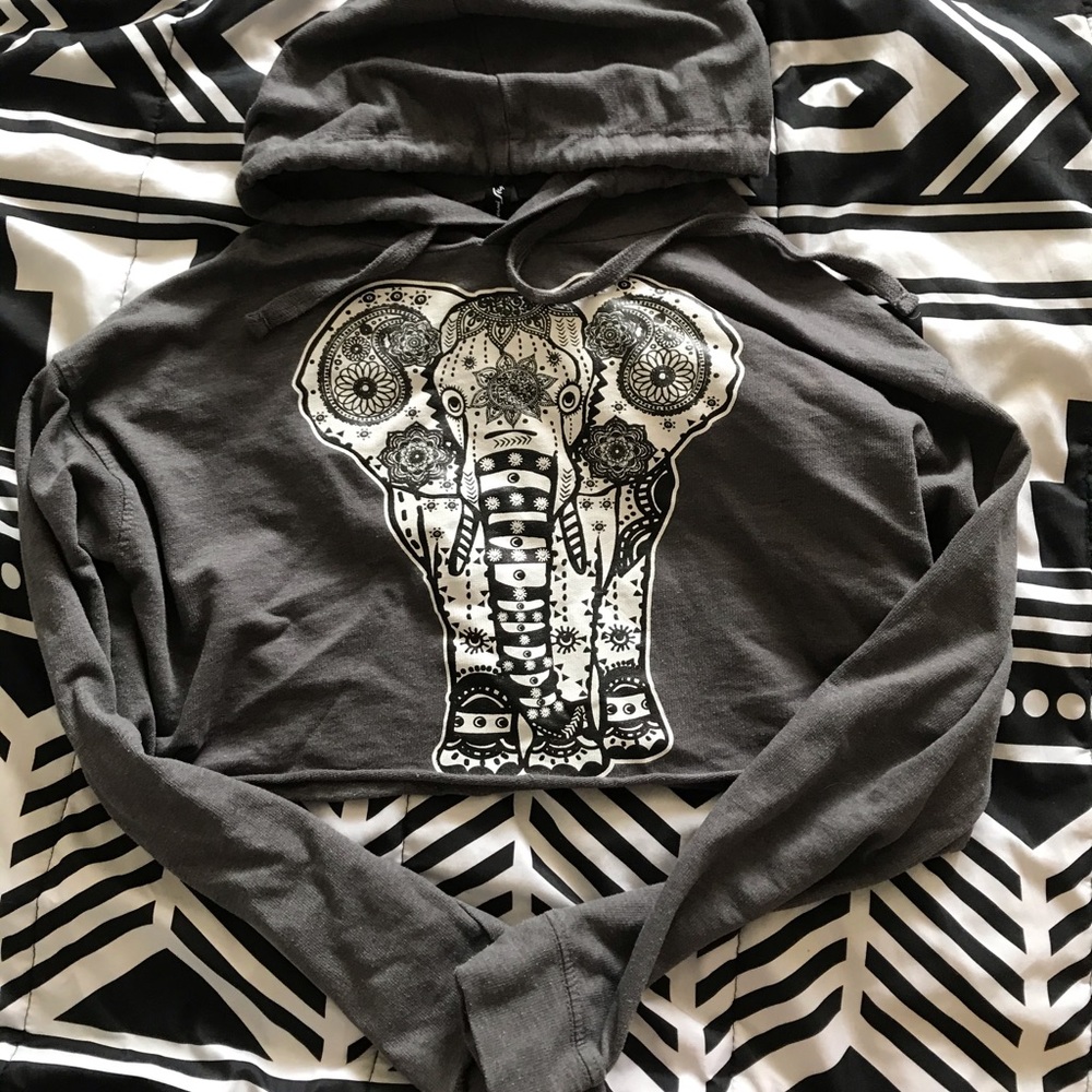 Grey Croptop hoodie